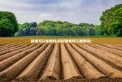 耕地可以继承吗(农村耕地可以继承吗)