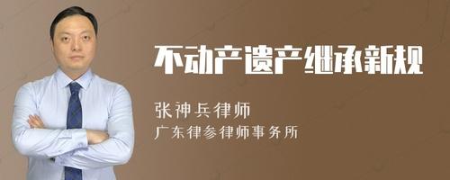 不动产房产继承（不动产遗产继承）