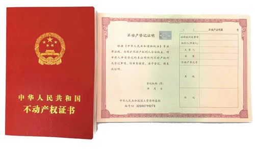 共有产权可以继承吗（共有产权可以继承吗现在）