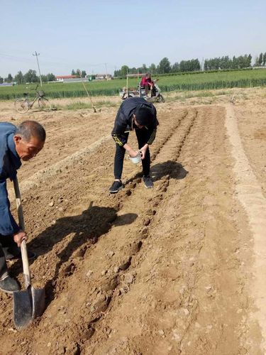 父母的农田继承（父母的农田继承怎么办）