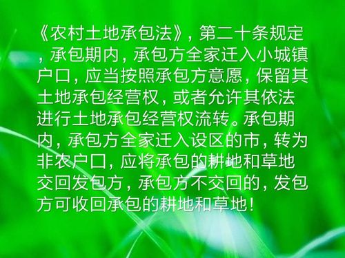 农村承包地可以继承吗?（农村承包地能不能继承）