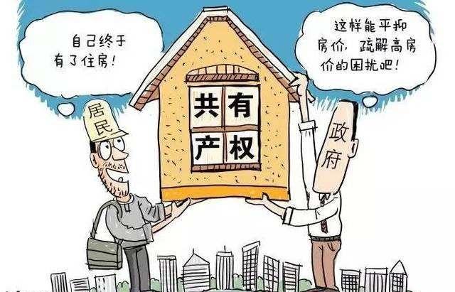 共有产权房的继承(共有产权房继承父母的房)