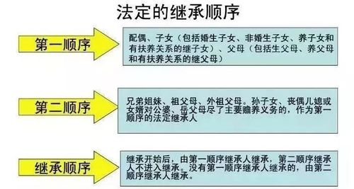 新遗产继承法独生子女（新继承法2021年新规 独生子女）