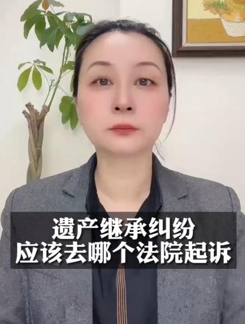 财产遗产继承纠纷(财产遗产继承纠纷律师)