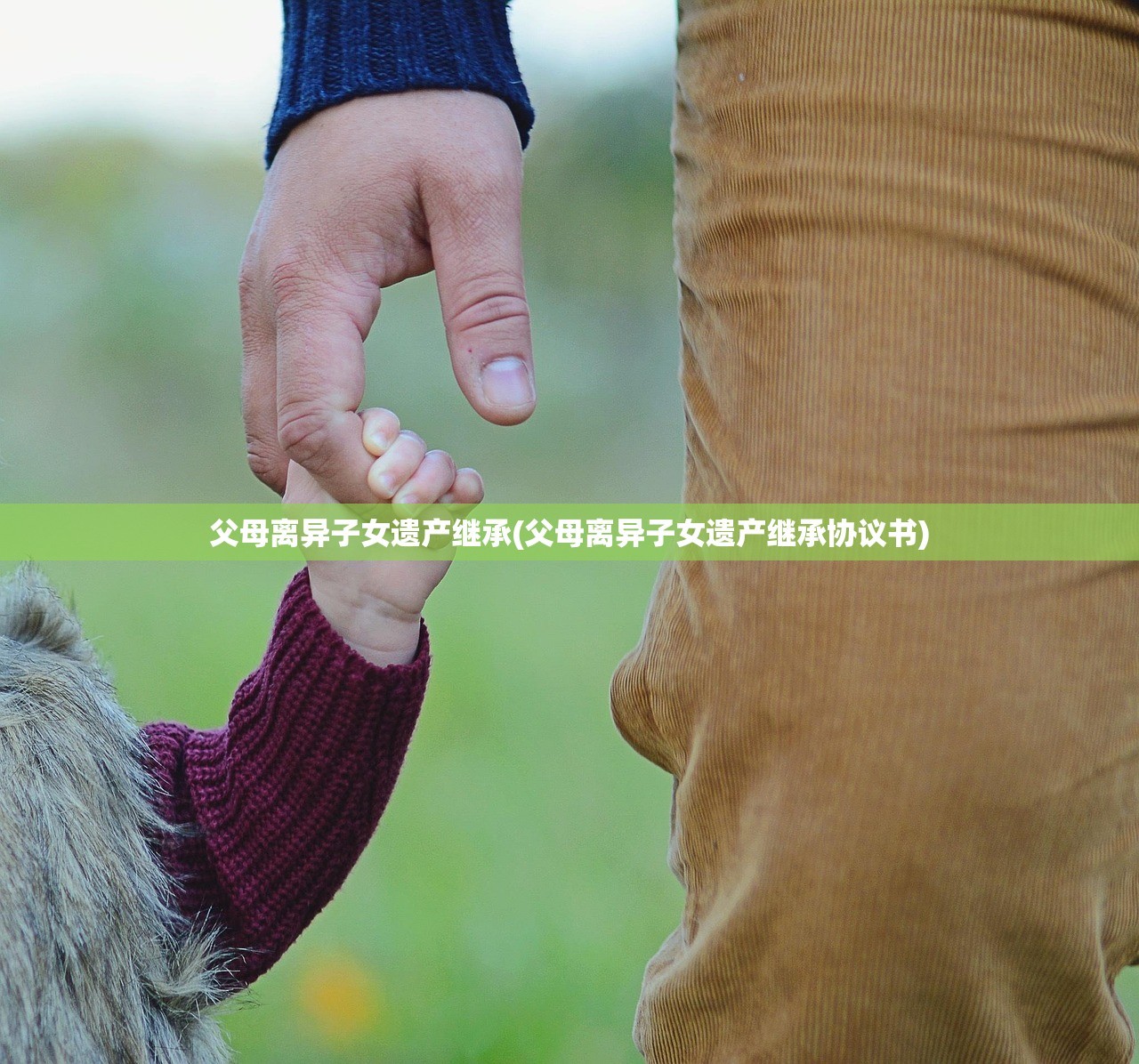 父母离异子女遗产继承(父母离异子女遗产继承协议书)