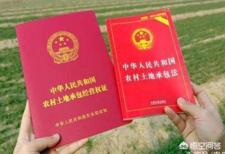 法定继承纠纷判决(法定继承纠纷判决书)