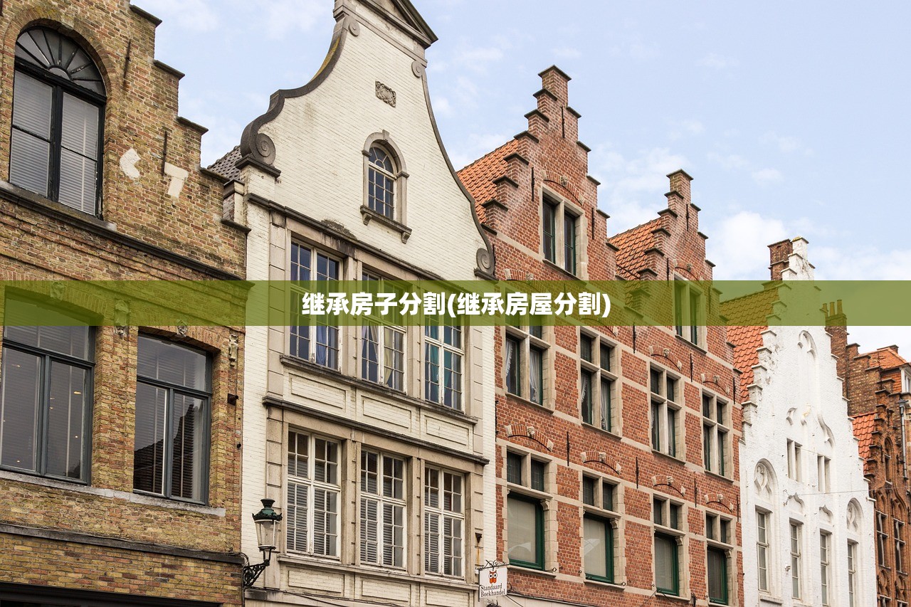 继承房子分割(继承房屋分割)