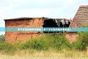 多子女如何继承宅基地（多个子女如何继承宅基地）