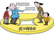 死亡赔偿金可以继承吗（丧葬费和死亡赔偿金可以继承吗）