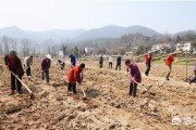 农村承包地可以继承吗(农村承包地可以继承吗不在同一个户口本)