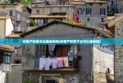 共有产权房子女能继承吗(共有产权房子女可以继承吗)