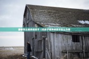 房子怎么继承给孩子（把房子继承给孩子怎么办理 
省钱）