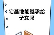 儿媳妇可以继承宅基地吗（儿媳妇可以继承家产吗）