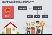 侄子侄女可继承叔伯遗产（2020侄子侄女可以继承叔叔的遗产吗）