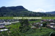 子女可以继承（子女可以继承农村宅基地吗）