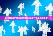 2020年遗产继承新规(2020年遗产继承新规解读)
