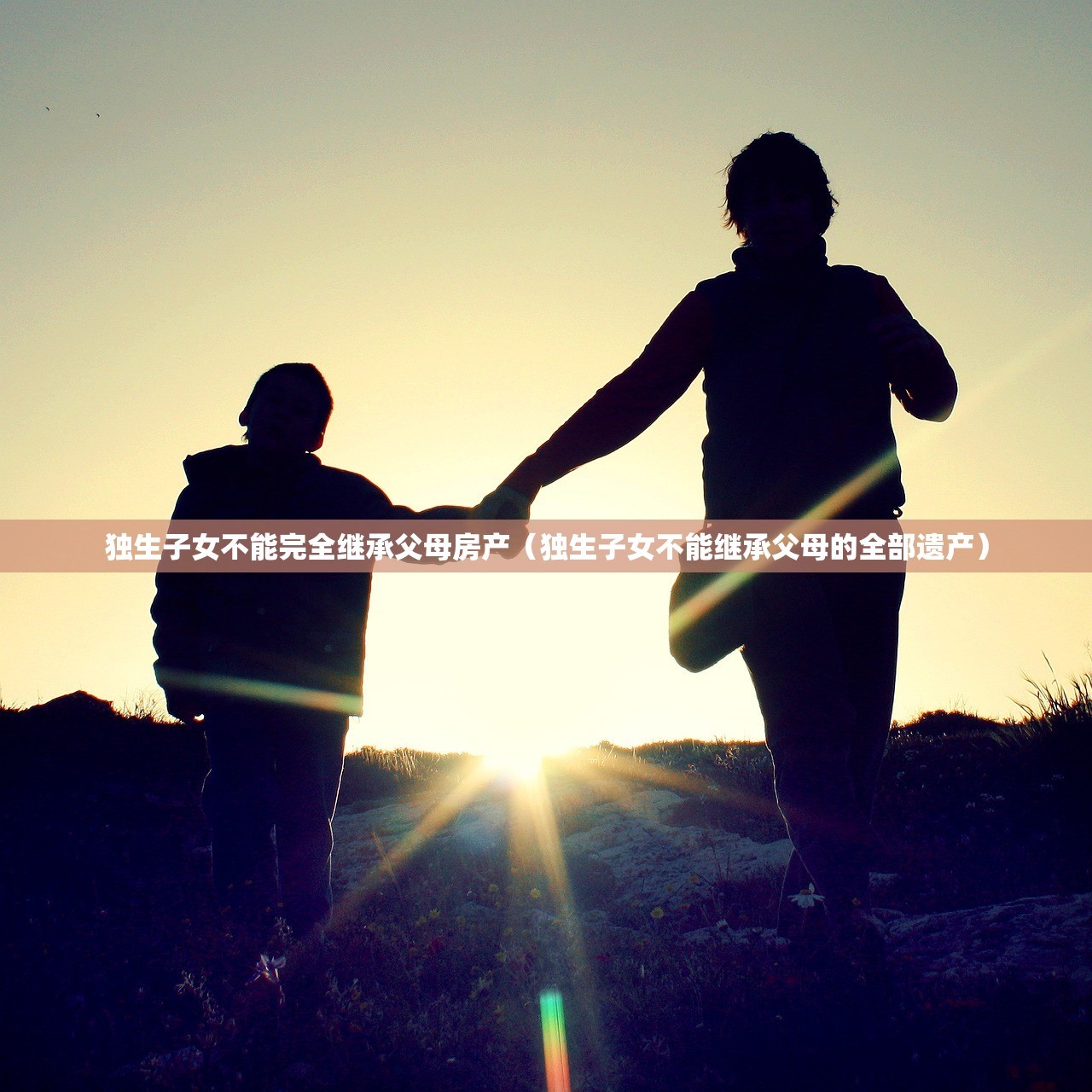 独生子女不能完全继承父母房产（独生子女不能继承父母的全部遗产）