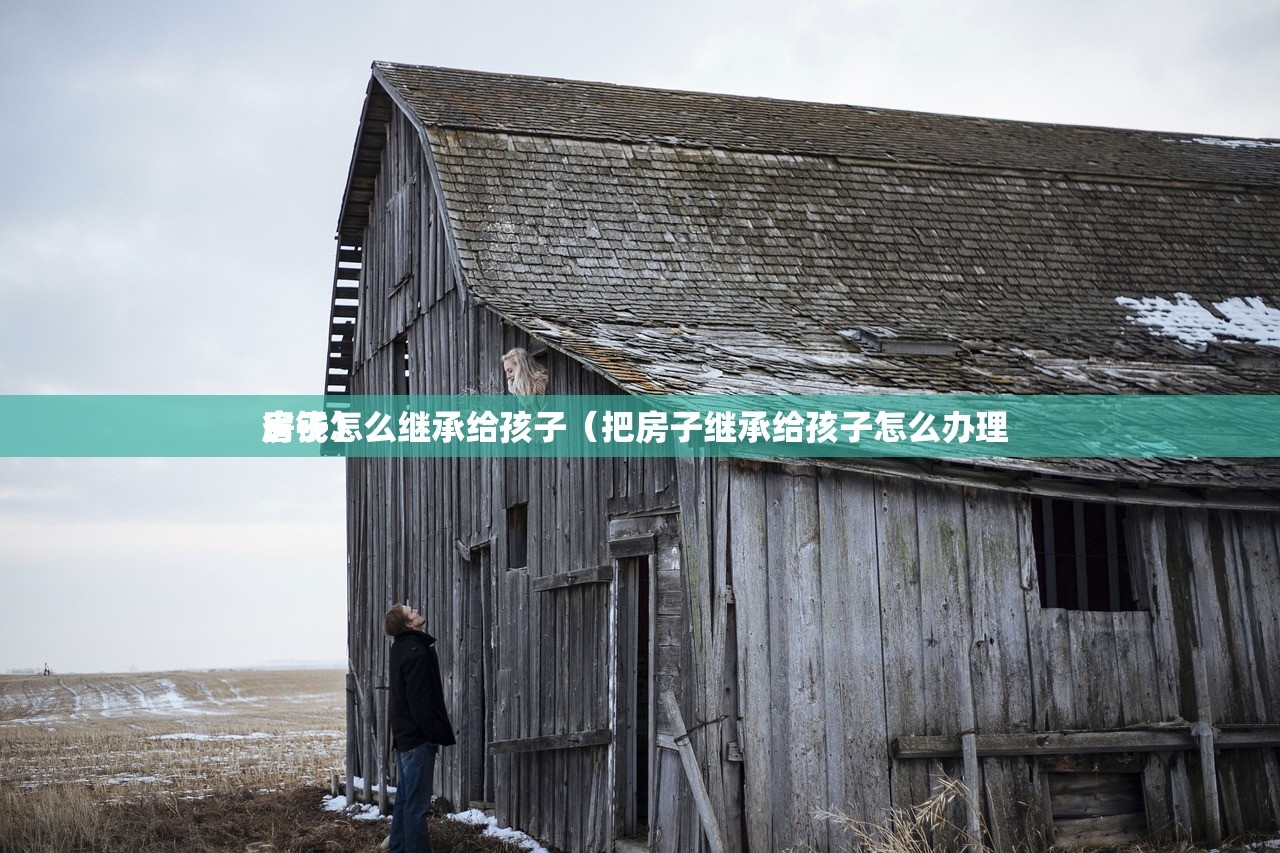 房子怎么继承给孩子（把房子继承给孩子怎么办理 
省钱）