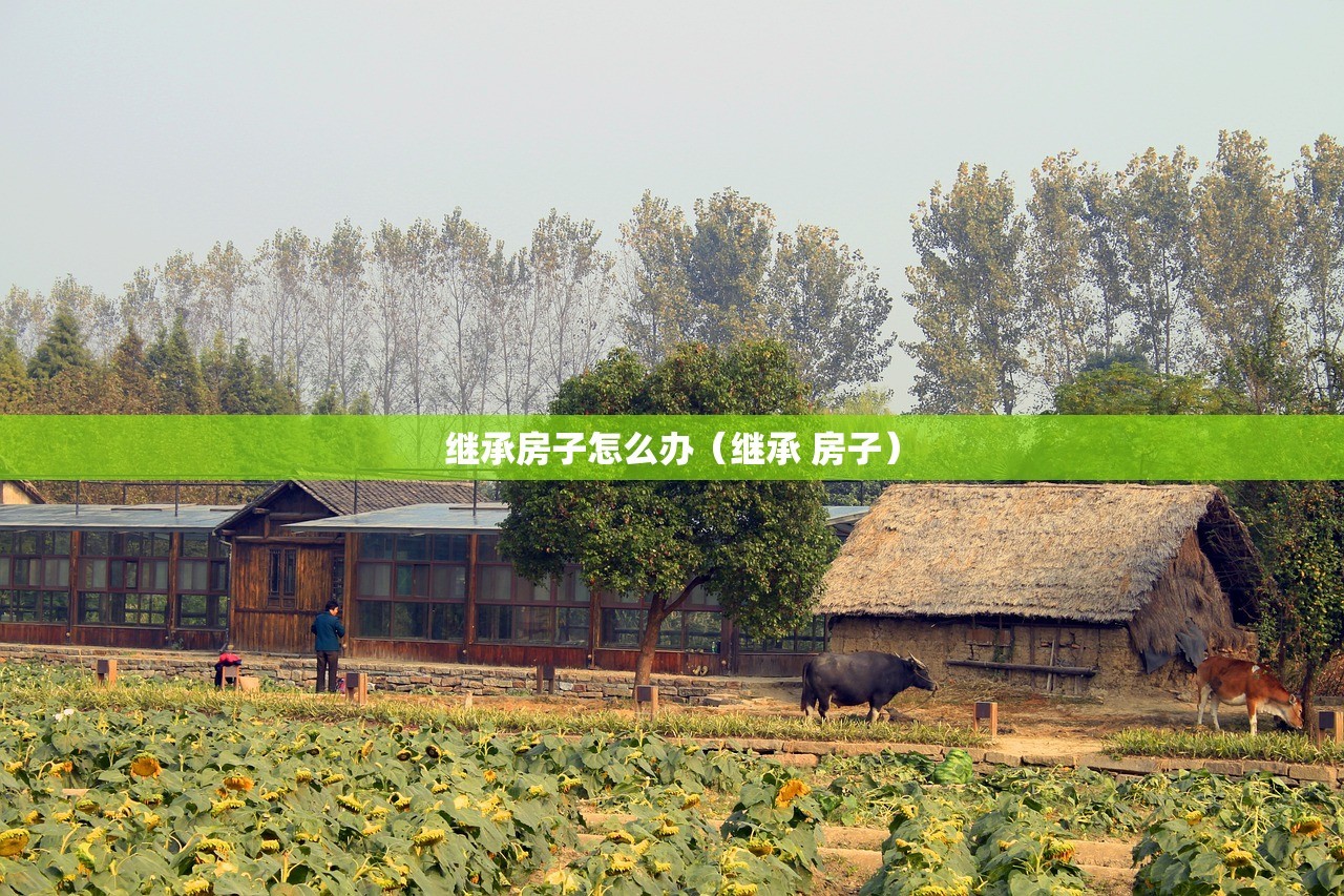 继承房子怎么办（继承 房子）