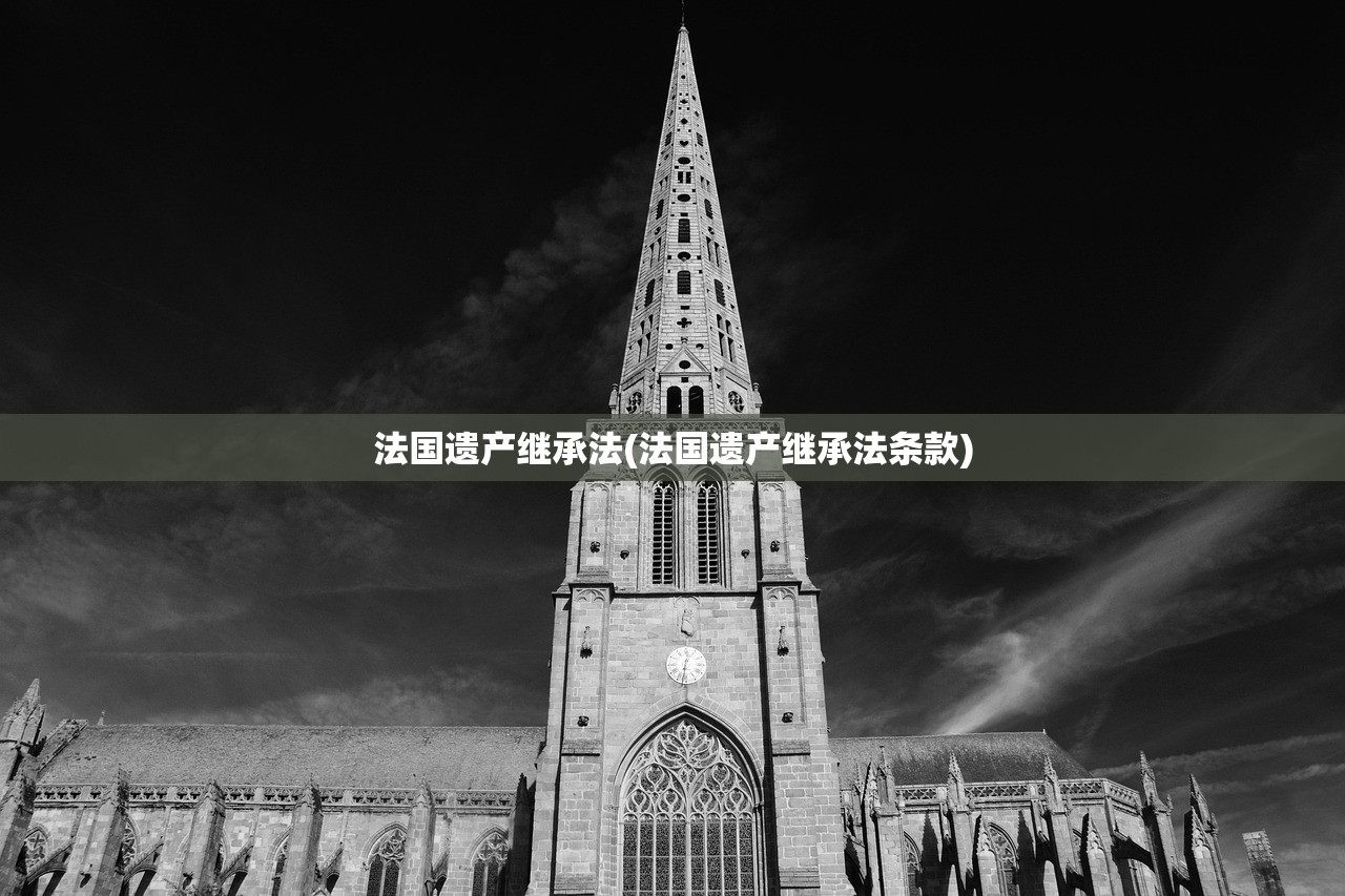 法国遗产继承法(法国遗产继承法条款)