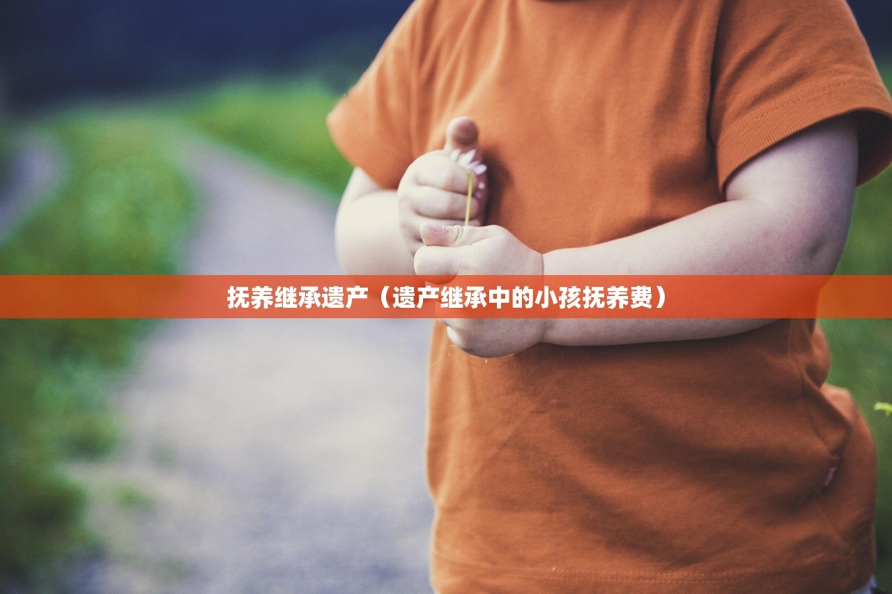 抚养继承遗产（遗产继承中的小孩抚养费）