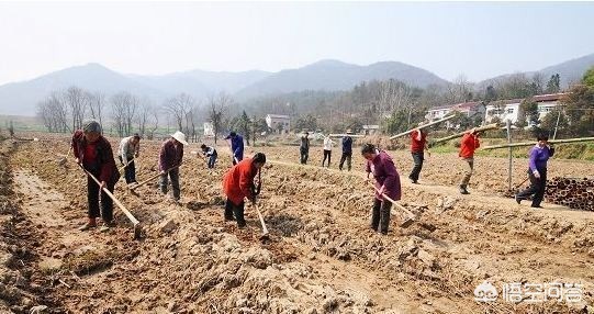 农村承包地可以继承吗(农村承包地可以继承吗不在同一个户口本)