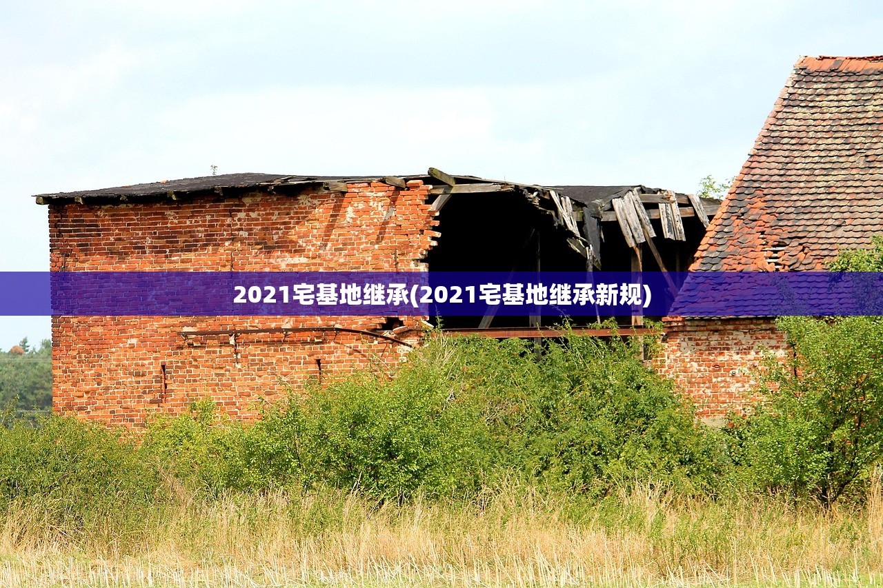 2021宅基地继承(2021宅基地继承新规)