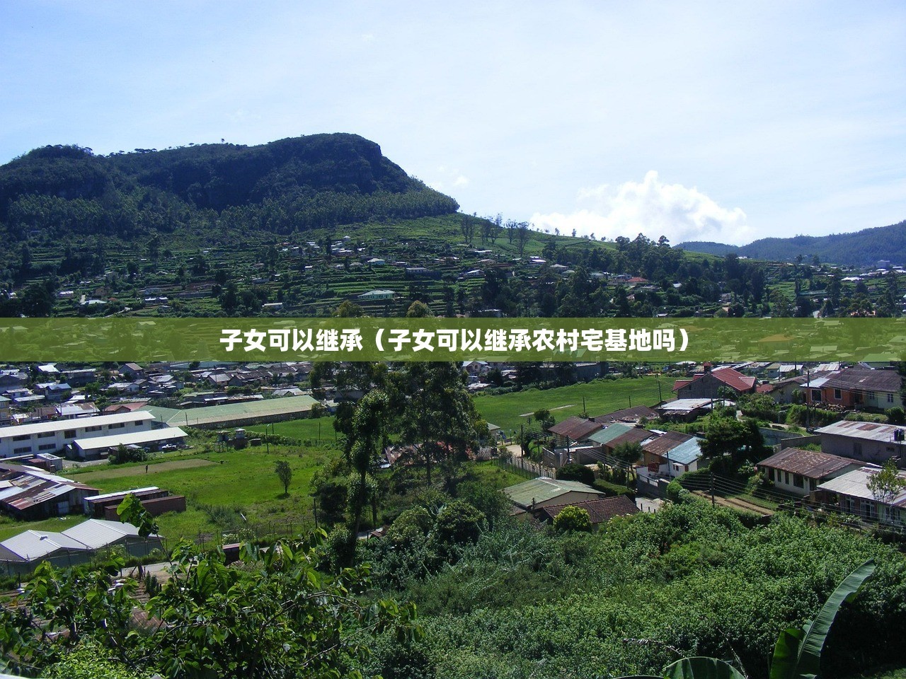 子女可以继承（子女可以继承农村宅基地吗）