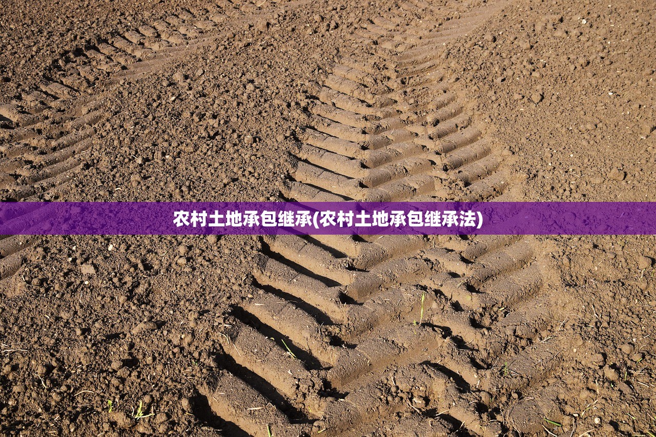 农村土地承包继承(农村土地承包继承法)
