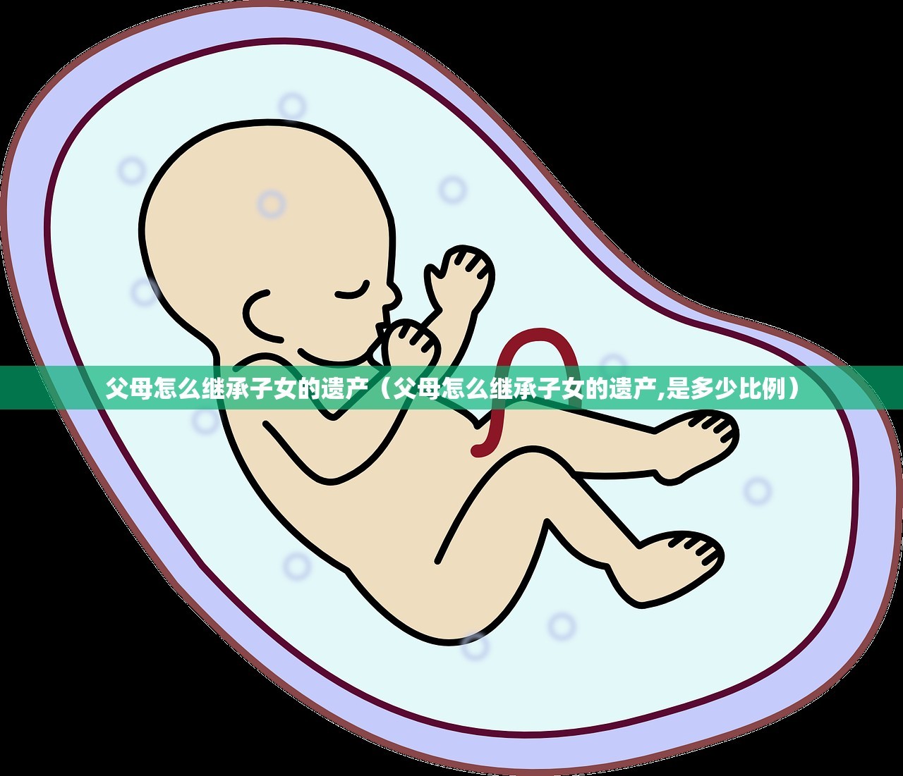 父母怎么继承子女的遗产（父母怎么继承子女的遗产,是多少比例）