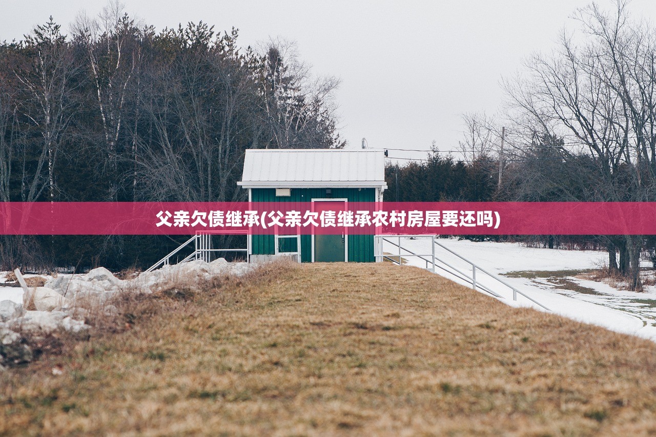 父亲欠债继承(父亲欠债继承农村房屋要还吗)