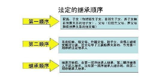 遗产继承孙子有没有继承权（遗产继承 孙女）