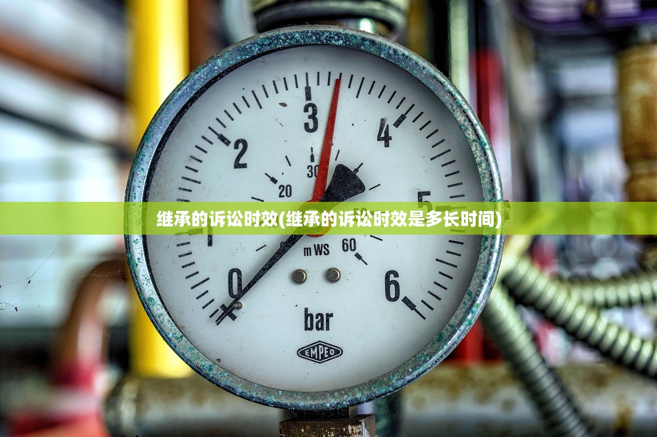 继承的诉讼时效(继承的诉讼时效是多长时间)