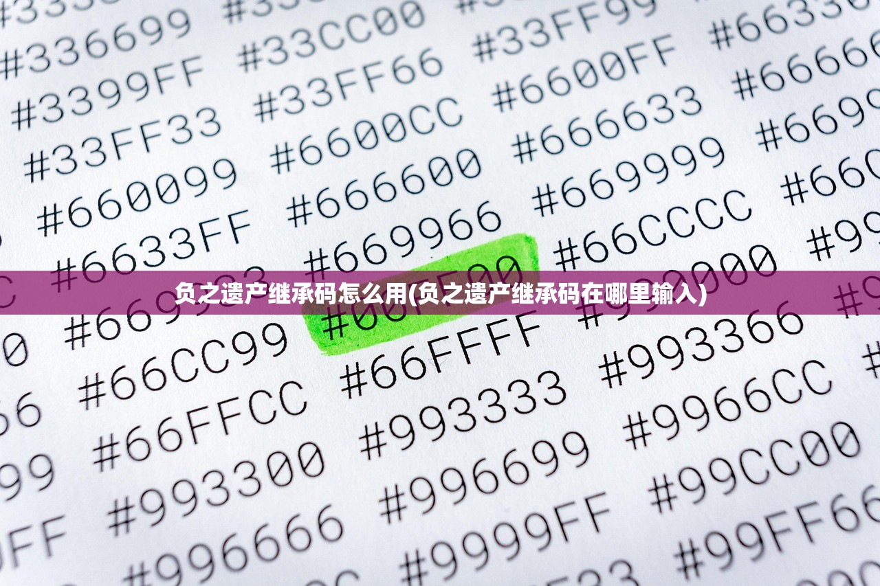 负之遗产继承码怎么用(负之遗产继承码在哪里输入)