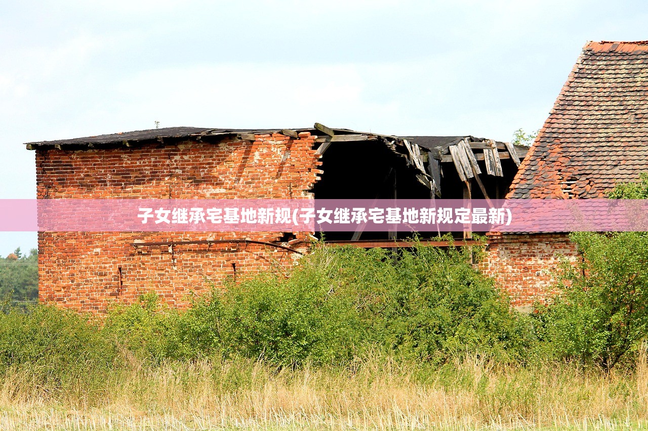 子女继承宅基地新规(子女继承宅基地新规定最新)