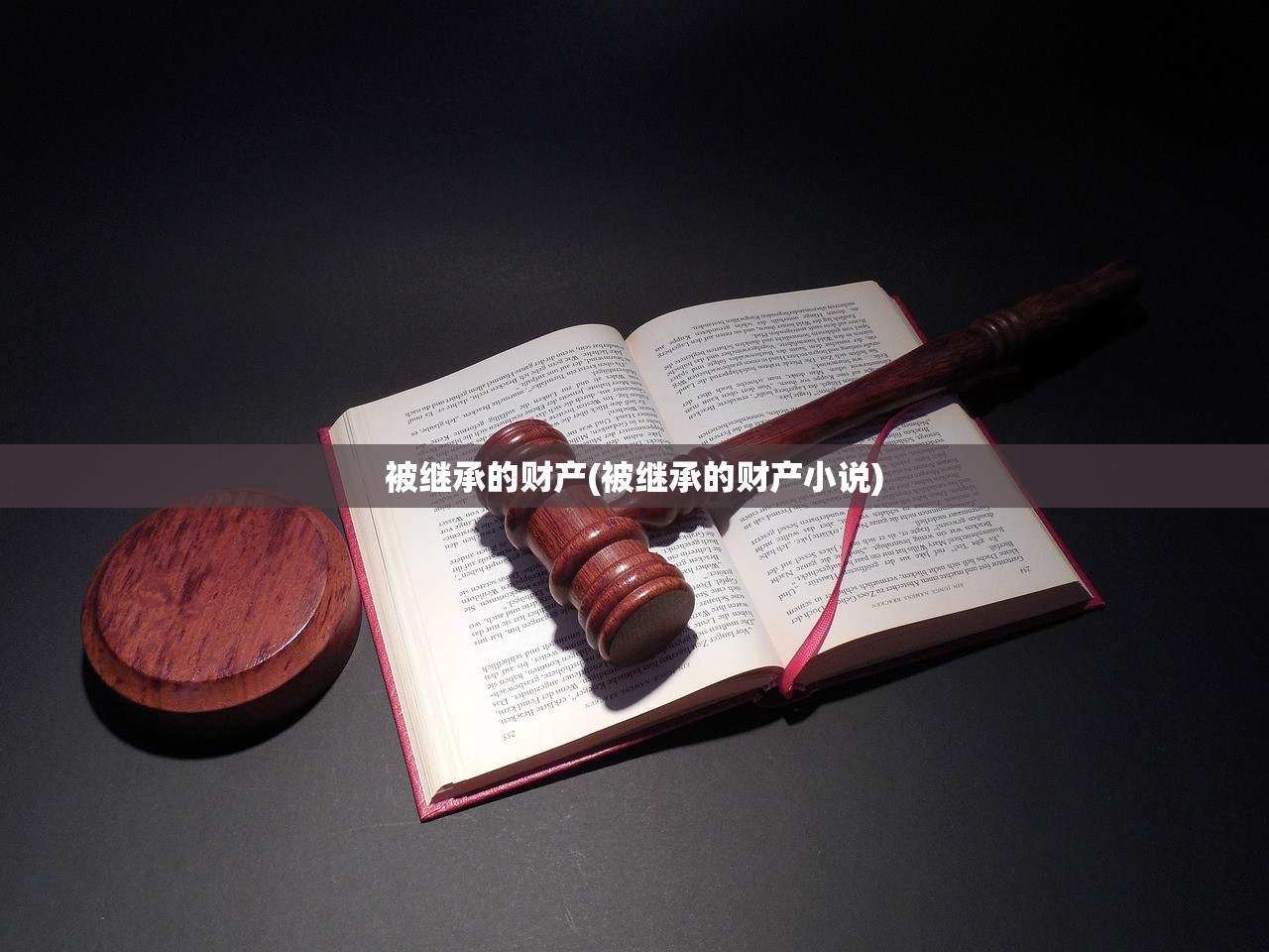 被继承的财产(被继承的财产小说)