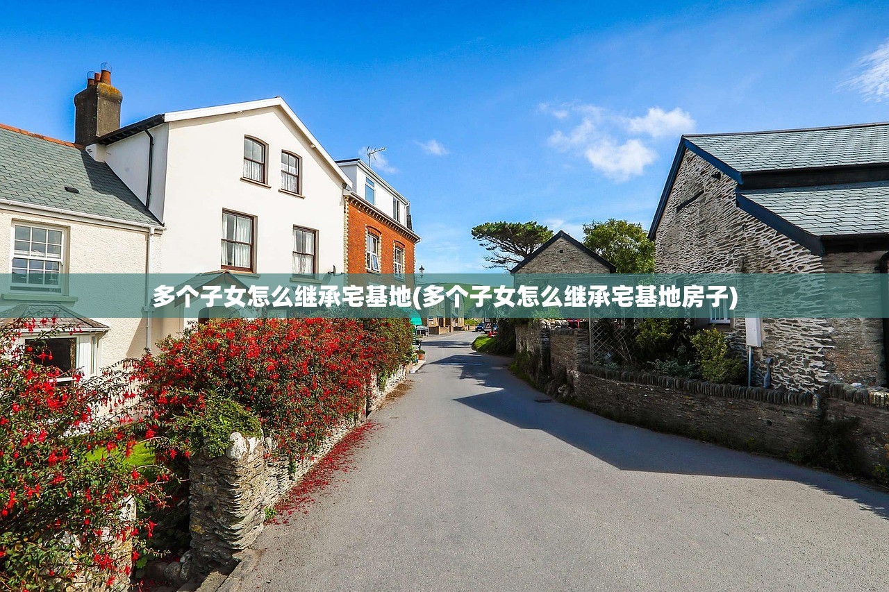 多个子女怎么继承宅基地(多个子女怎么继承宅基地房子)