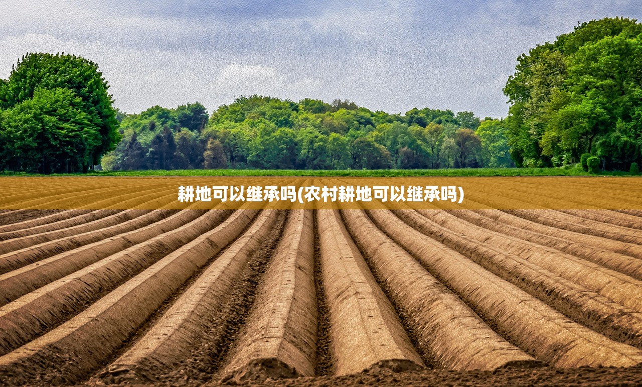 耕地可以继承吗(农村耕地可以继承吗)
