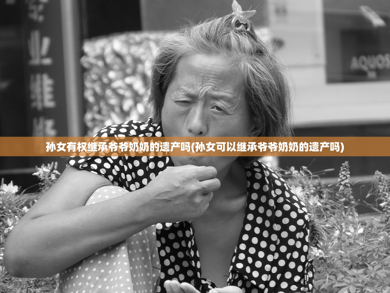 孙女有权继承爷爷奶奶的遗产吗(孙女可以继承爷爷奶奶的遗产吗)
