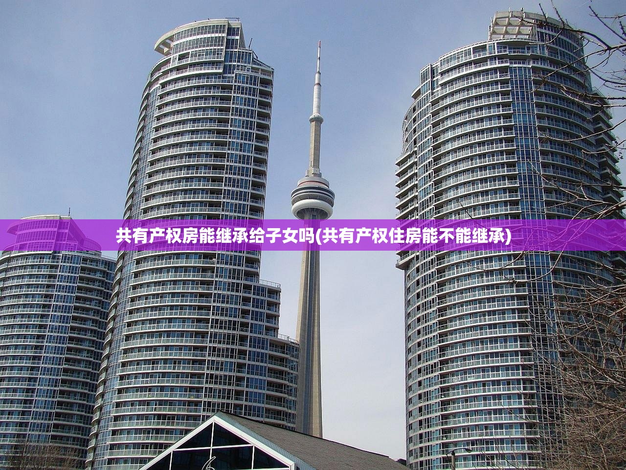 共有产权房能继承给子女吗(共有产权住房能不能继承)