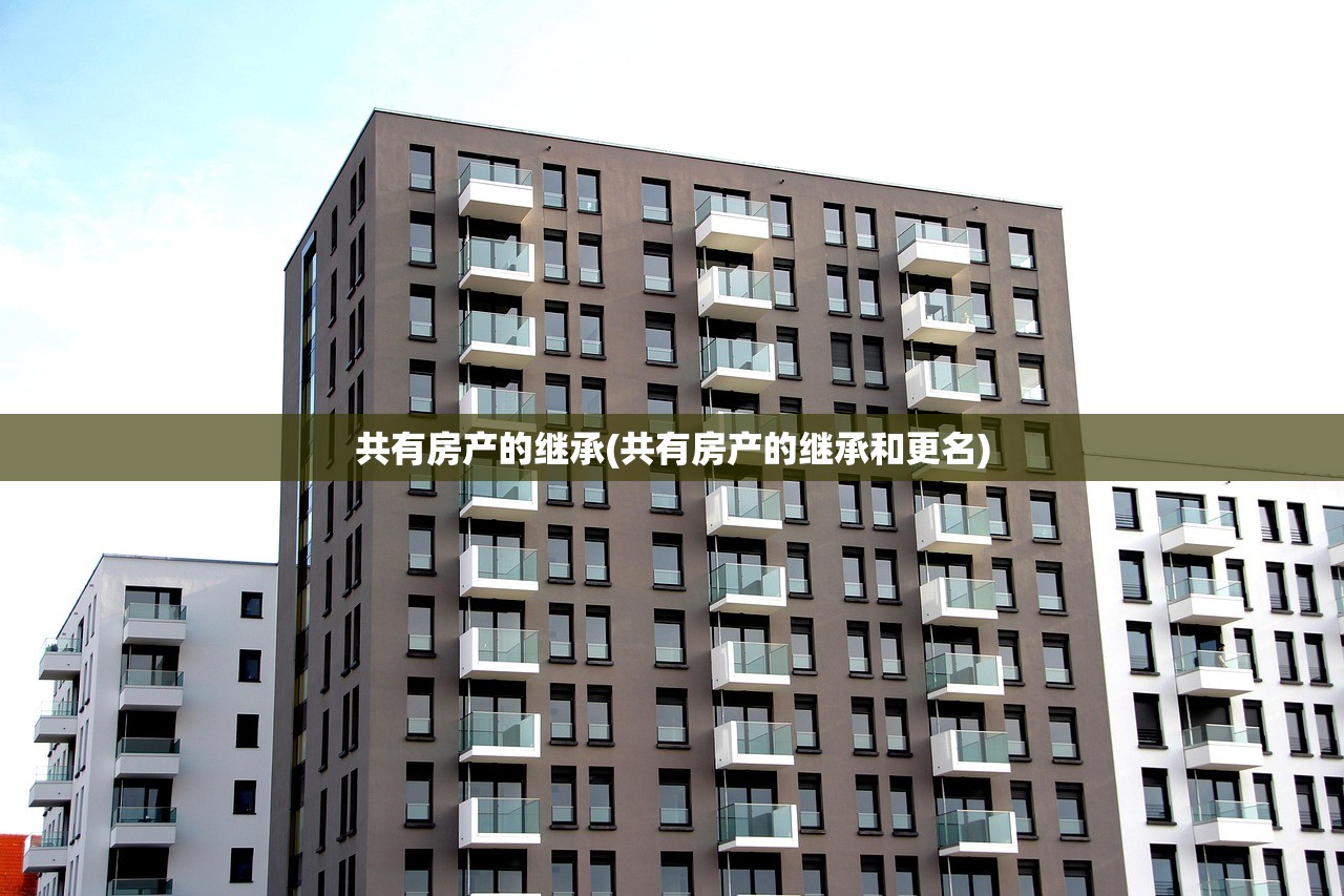 共有房产的继承(共有房产的继承和更名)